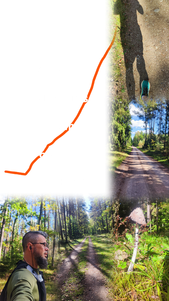 Słoneczny jesienny trail przed Bison Trail. 7,84 km w 51:24, spokojne tempo, nowa płaska leśna trasa i pełna kontrola przed startem.