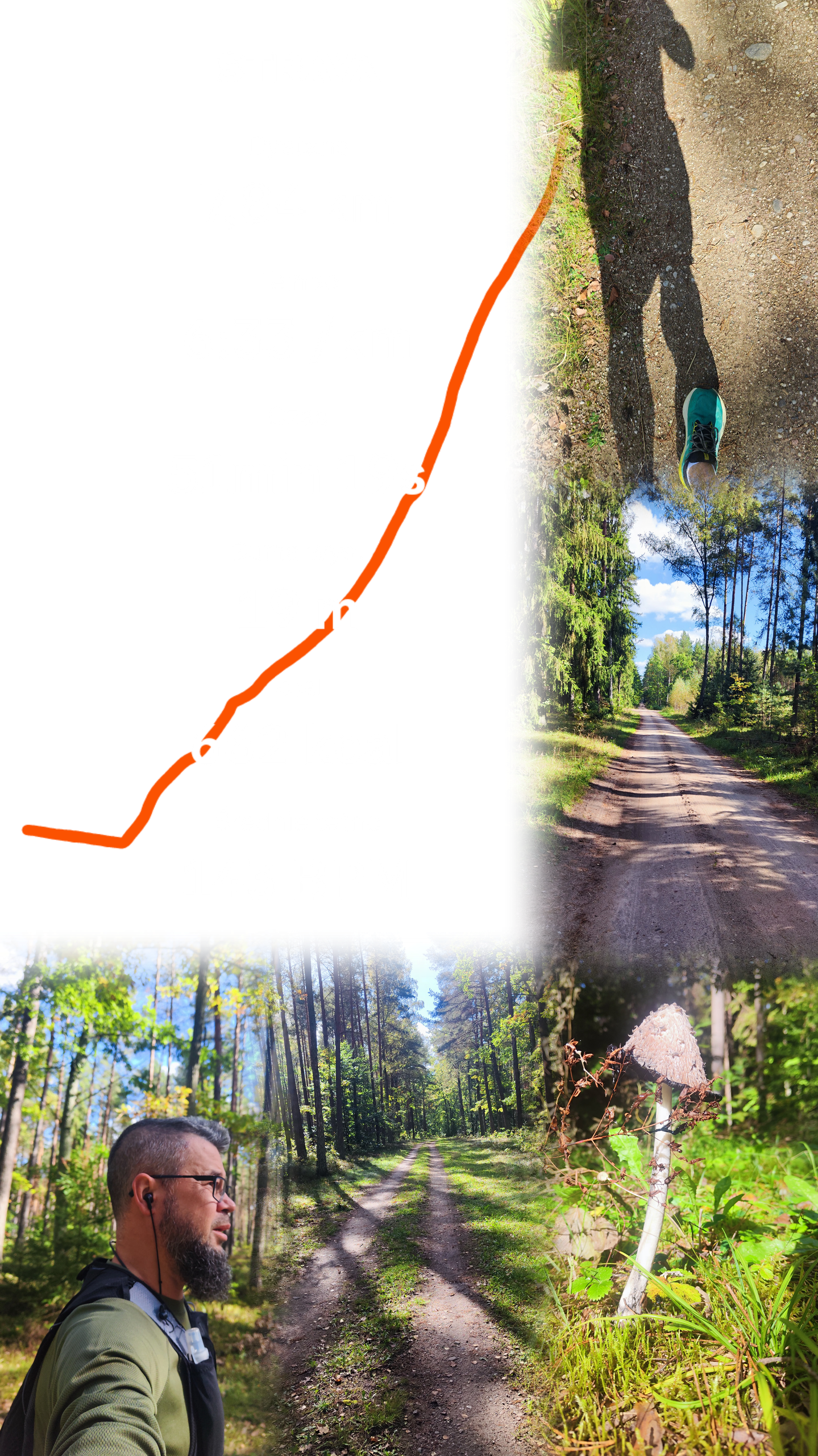 Słoneczny jesienny trail – spokojny bieg przed Bison Trail