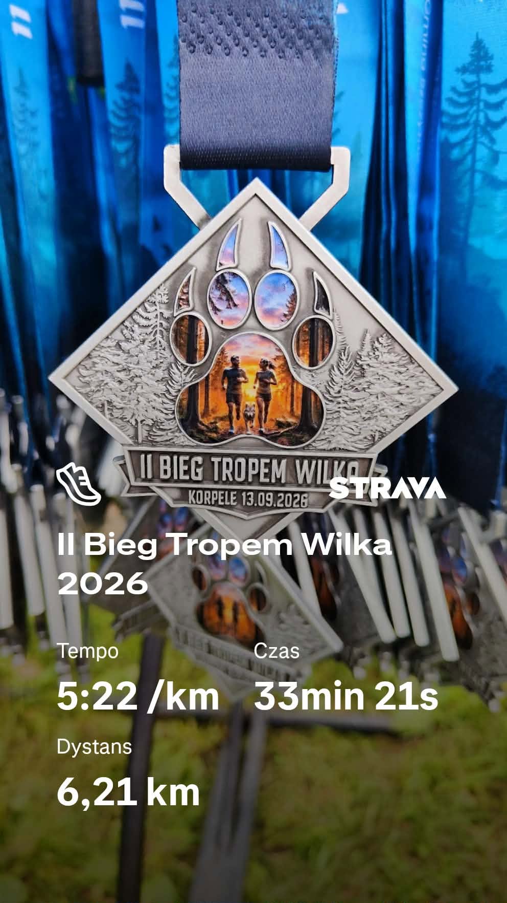 II Bieg Tropem Wilka 2026 – 6 km po leśnych górkach